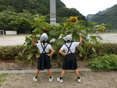 1学期の様子