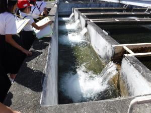 錦見浄水場