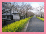 川下小学校の画像3