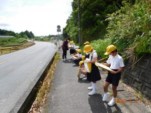 町たんけん