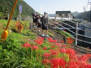 登校４