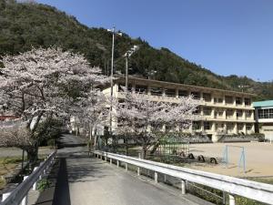 美川小学校と桜
