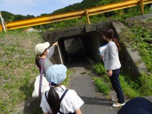 ぼ３