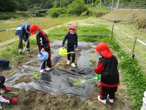 水やりをする3人