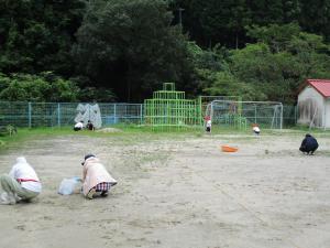 運動場の草取り