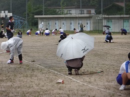 草取りをいている写真