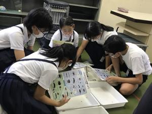 水辺４