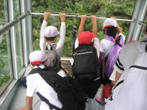 見学低5