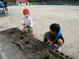 花壇に植える児童