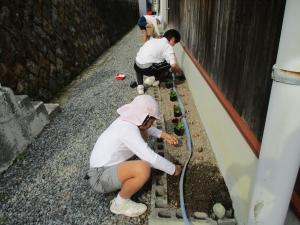 道路側の花壇に植える児童