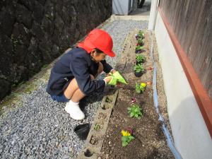 道路側の花壇に植える児童