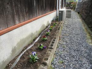 苗植えのすんだ花壇