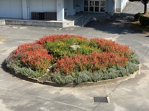 円形花壇