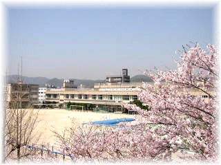 所在地の画像
