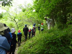 山道を歩く児童達