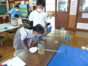 ため池の水を観察する児童