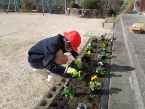 花を植える児童
