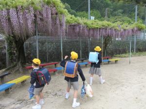 藤の花を見る子ども達