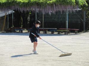 藤の花と5年生