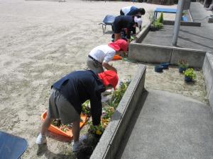 花壇の花を抜く児童