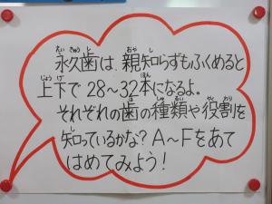 クイズの問題