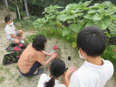 植え方を教える先生