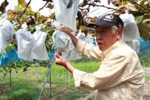 収穫の仕方を説明される高木さん