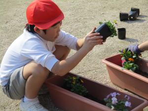 植え付ける児童