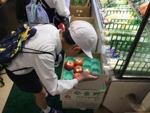 りんごを選んでいるところ