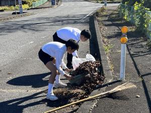 バス停落ち葉集め