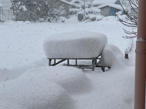 朝礼台に積もる雪