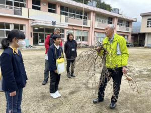 てんぐ巣病枝切り