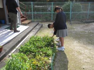 学級園