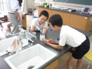 実験の様子