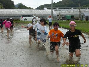 田んぼで戯れる会