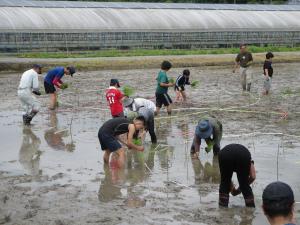 田植え２