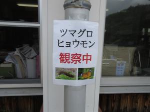 観察中の表示