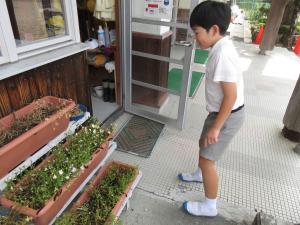 幼虫を見る4年生