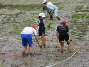 田植え１