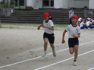 50m走を行う5，6年生