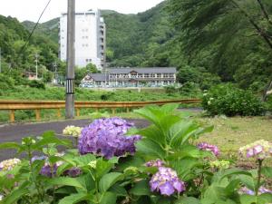 あじさいと校舎