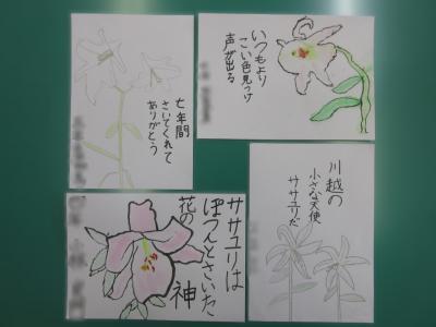 ササユリ作品