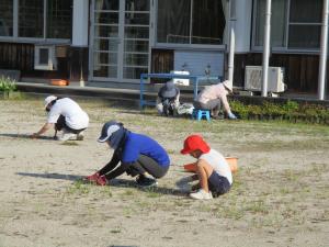 運動場の草引き