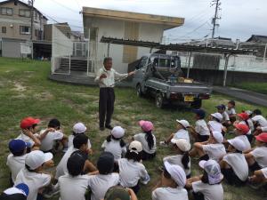 錦帯白菜と岩国赤大根の苗植え