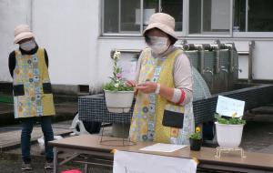 寄せ植え1