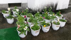 寄せ植え4