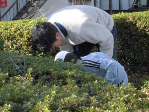 わあああわ