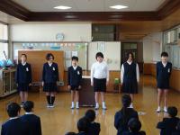 6年6年
