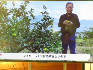 マイヤーレモン農家の方のお話