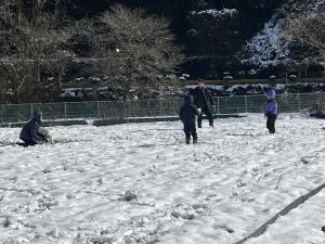雪合戦